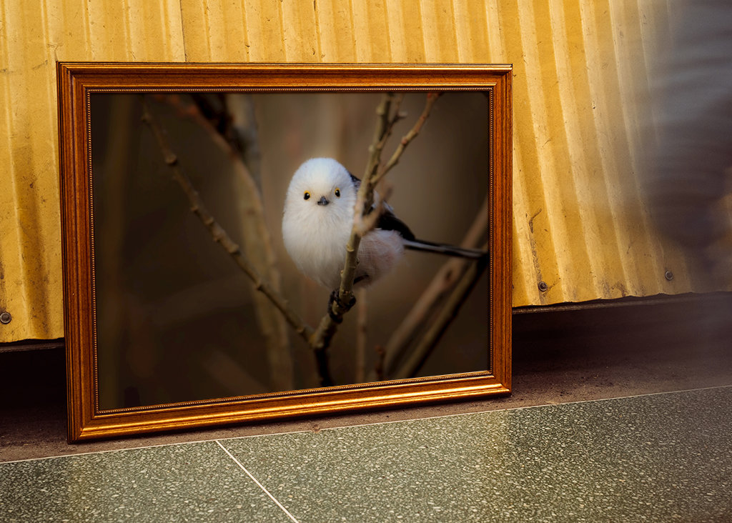 - les yeux dans les yeux