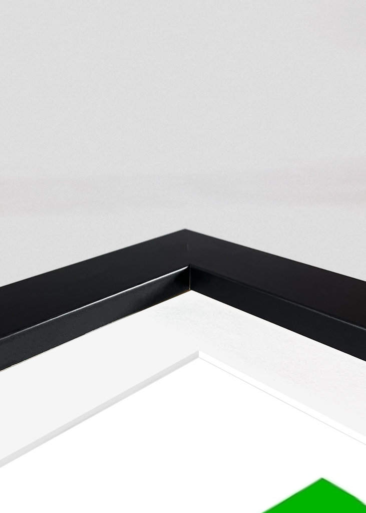 Playful Nature in the Sun