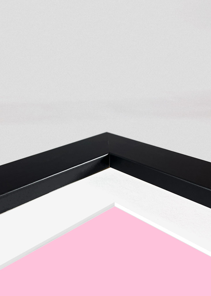 La Vie en Rosé - Typography