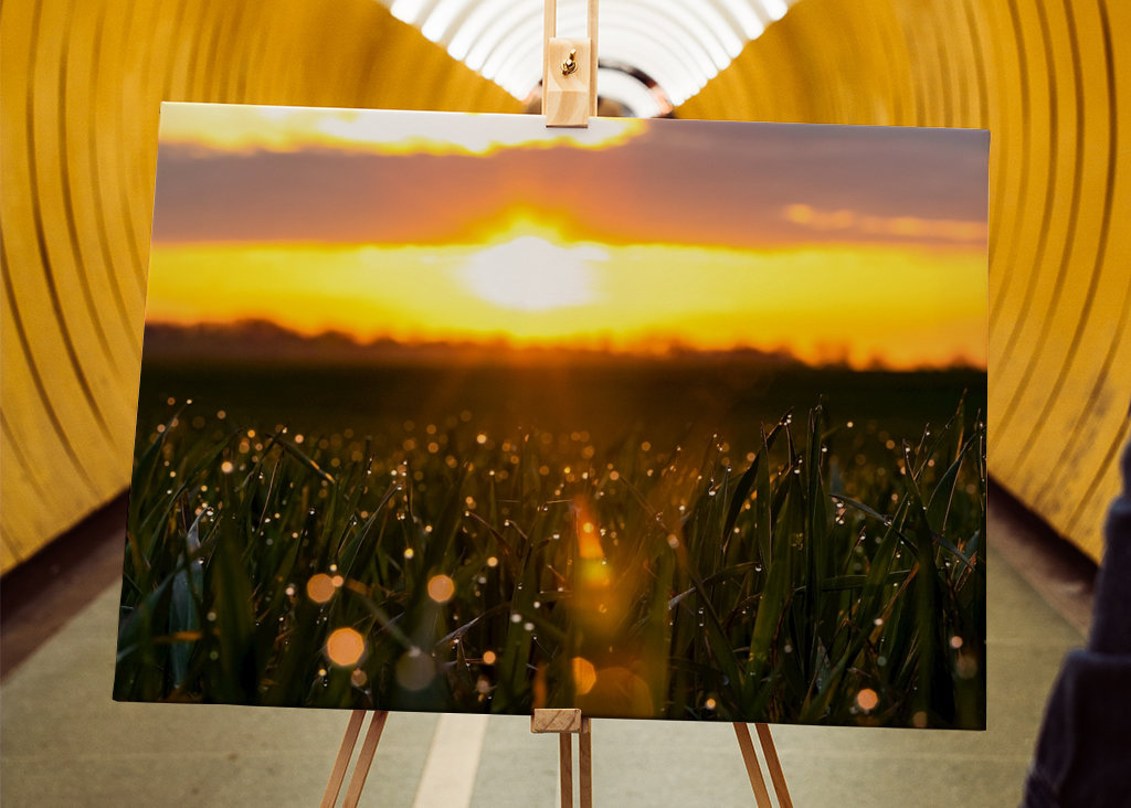 Sonnenaufgang am Japaneck