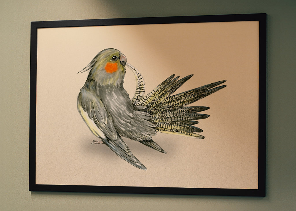 Szczotkowanie cockatiel