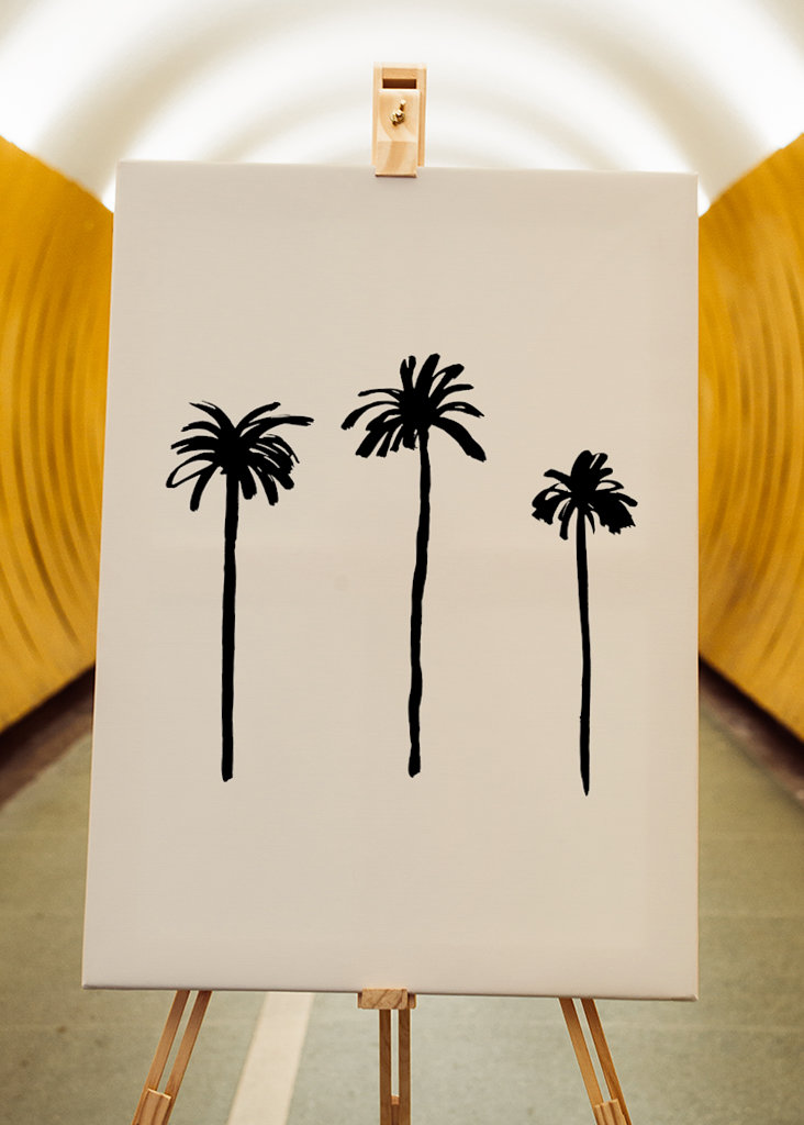Palm Trees