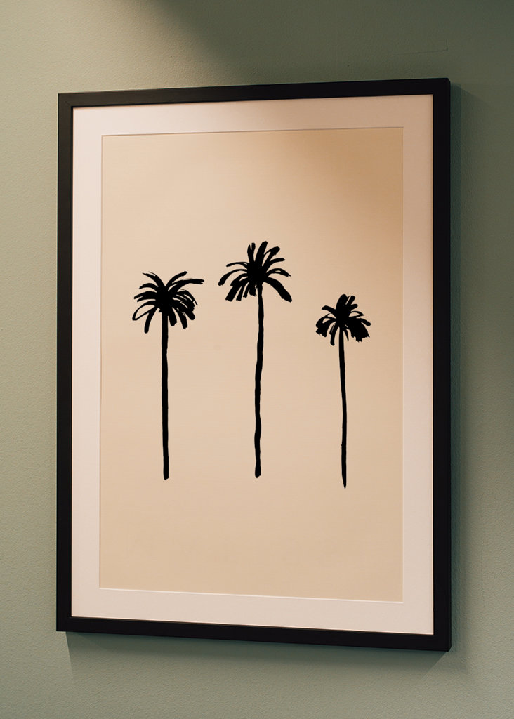 Palm Trees