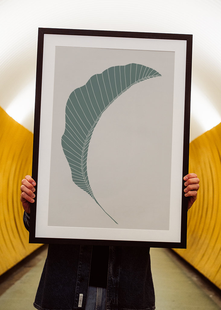 Banánový list zelený