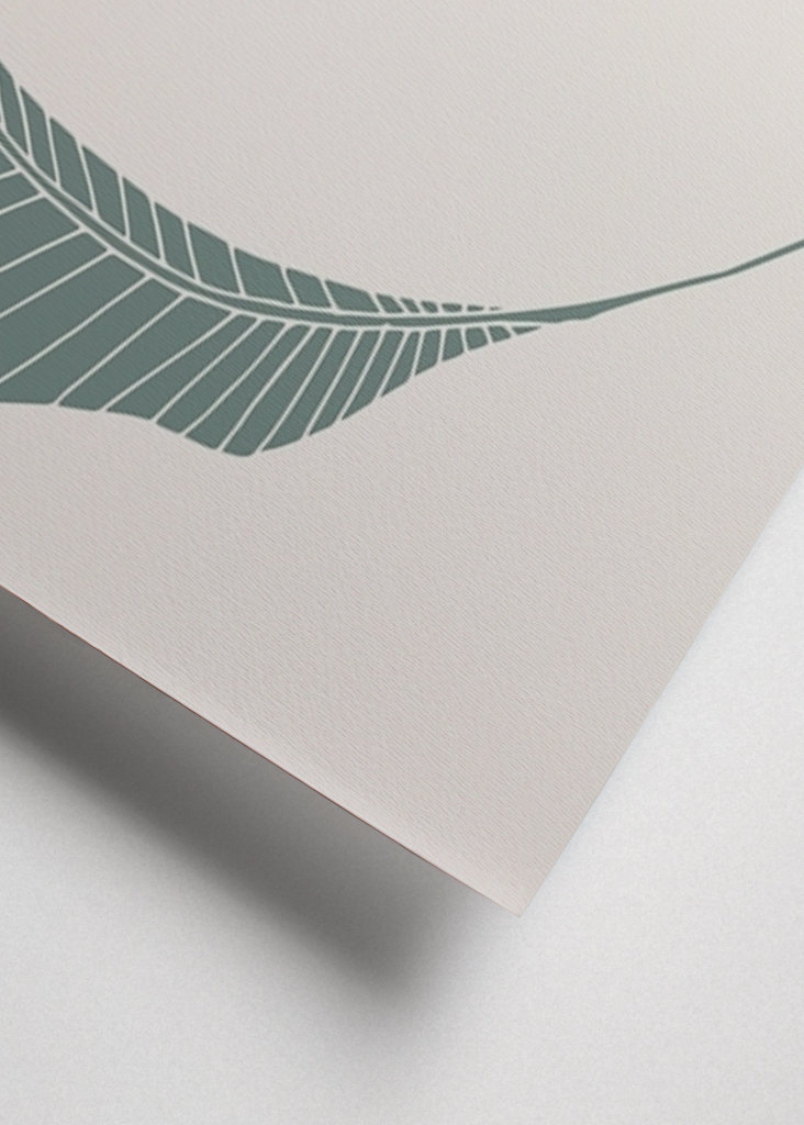 Banánový list zelený