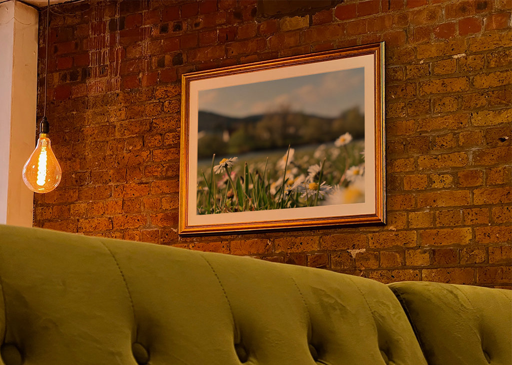 Gänseblümchenwiese