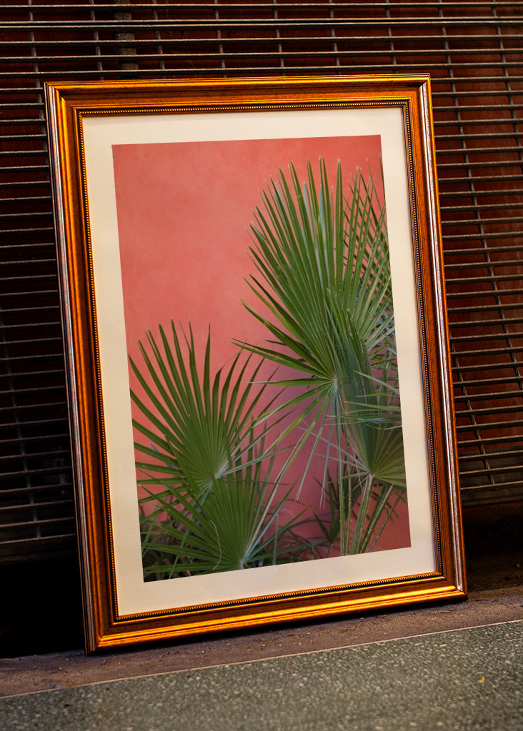 Green palm leaves on pink wall