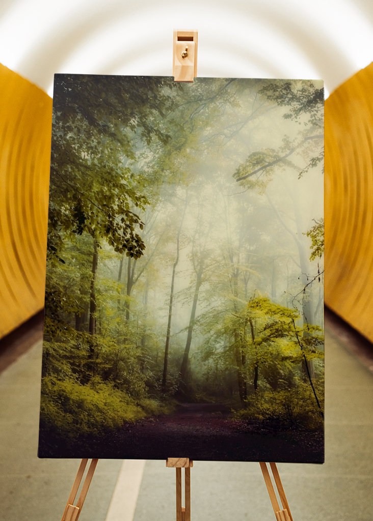 Misty Forest Morning