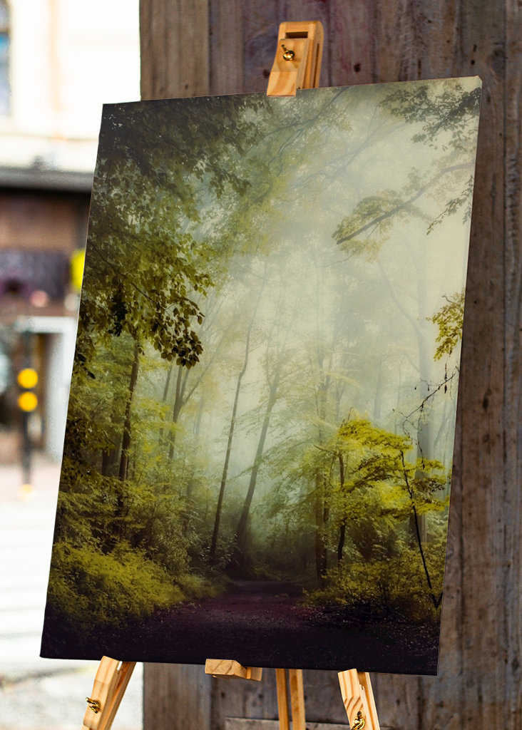 Misty Forest Morning