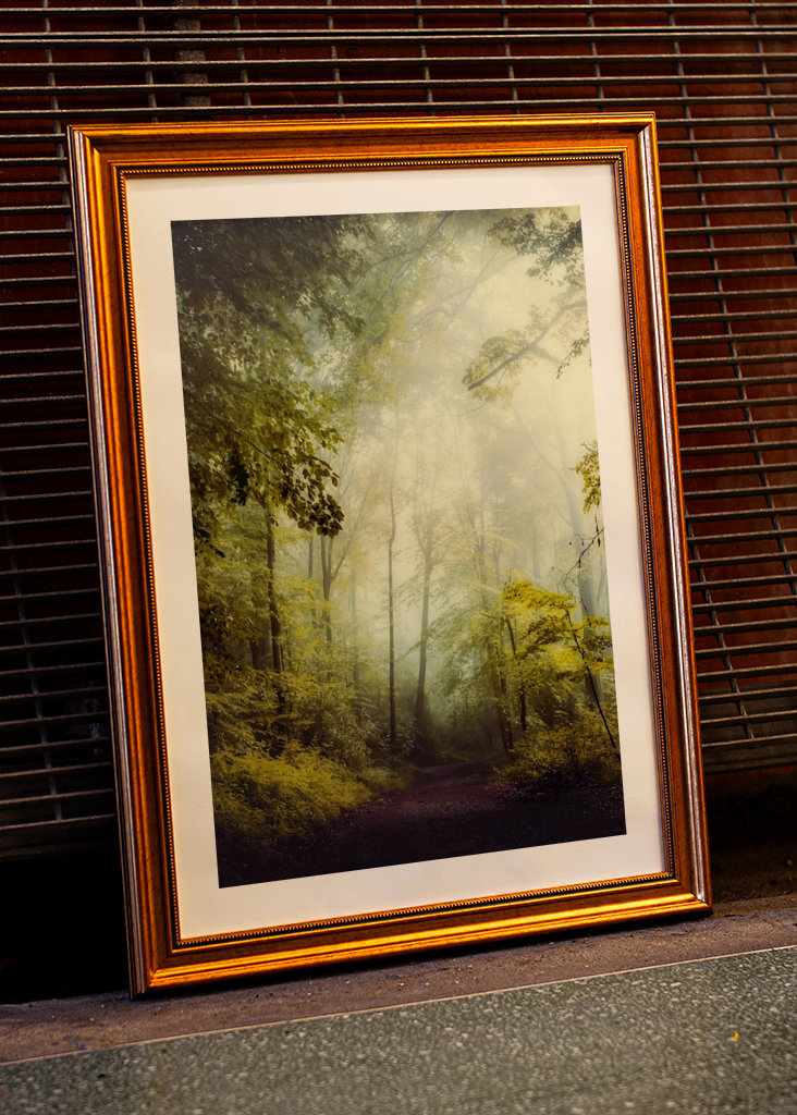 Misty Forest Morning