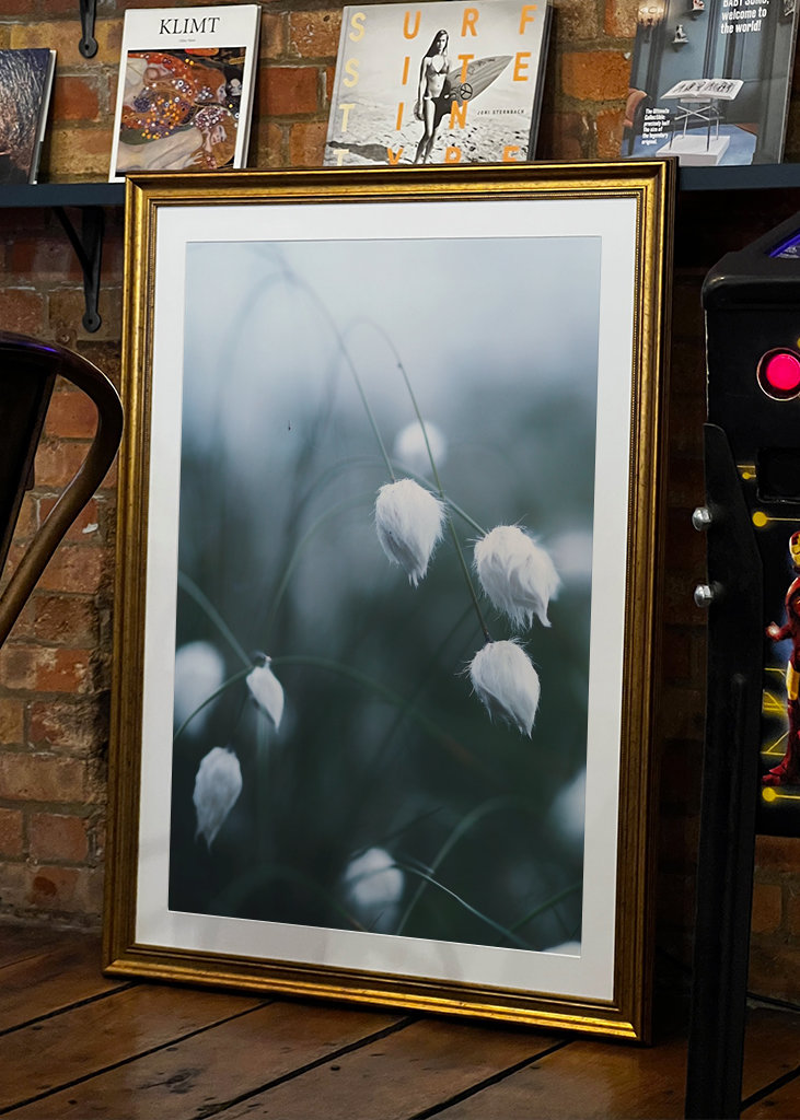 Lana de pradera en pleno verano