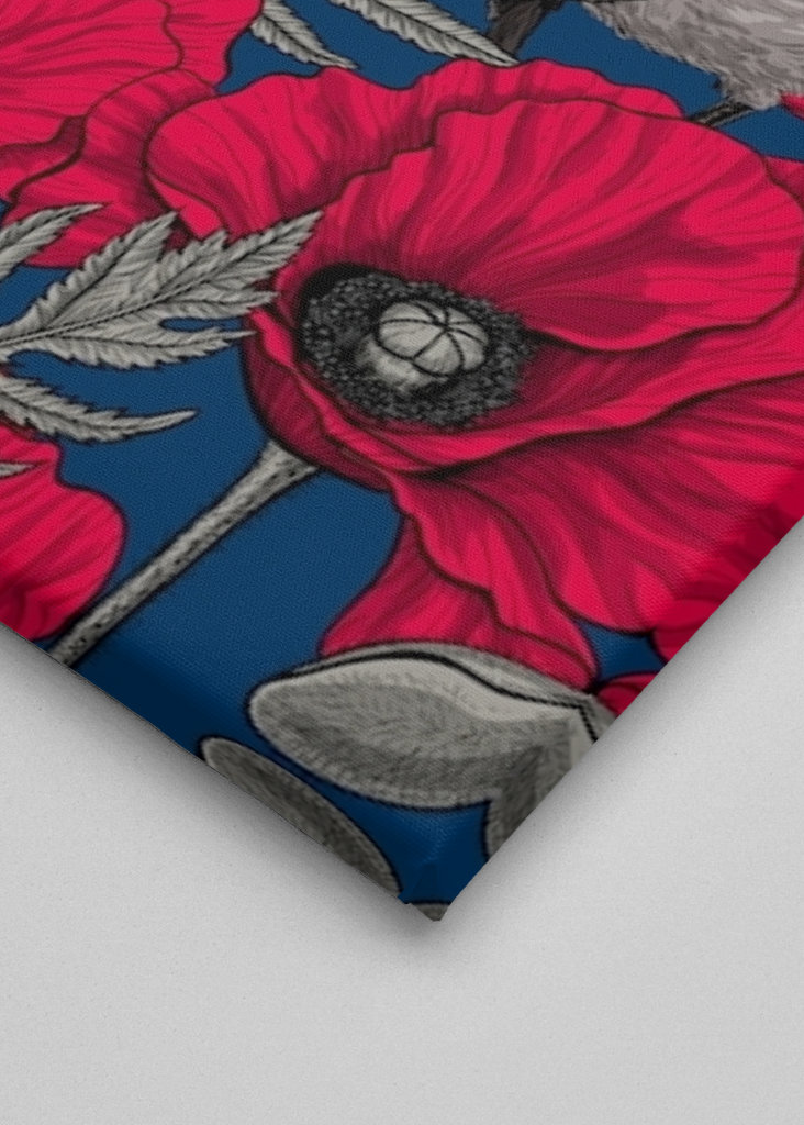 Fairy wrens and poppies