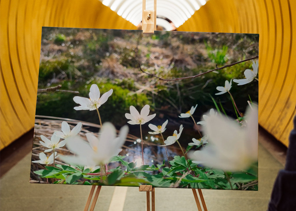 Łapanie wiosennego słońca