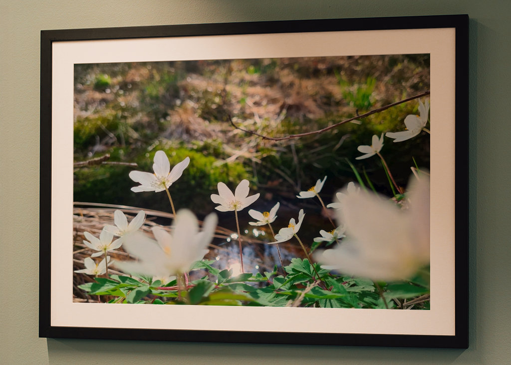 Łapanie wiosennego słońca