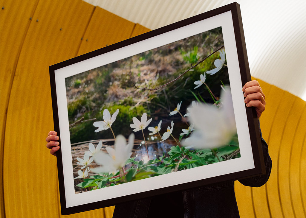 Łapanie wiosennego słońca
