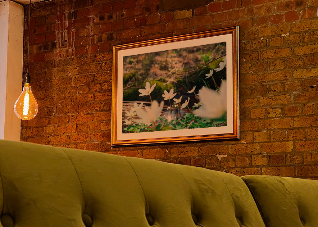 Łapanie wiosennego słońca