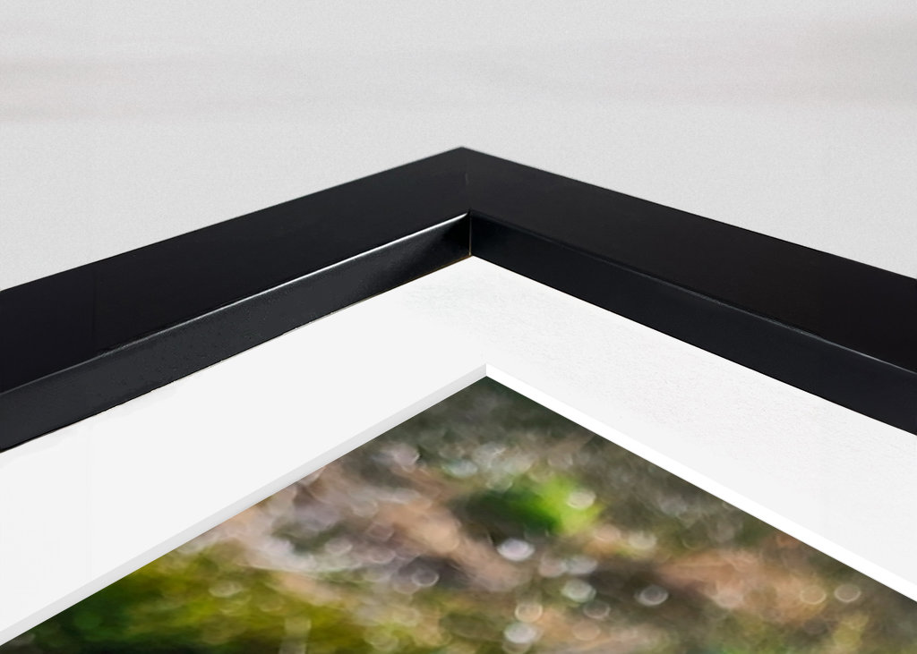 Łapanie wiosennego słońca