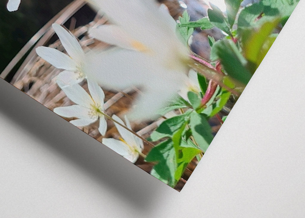 Łapanie wiosennego słońca