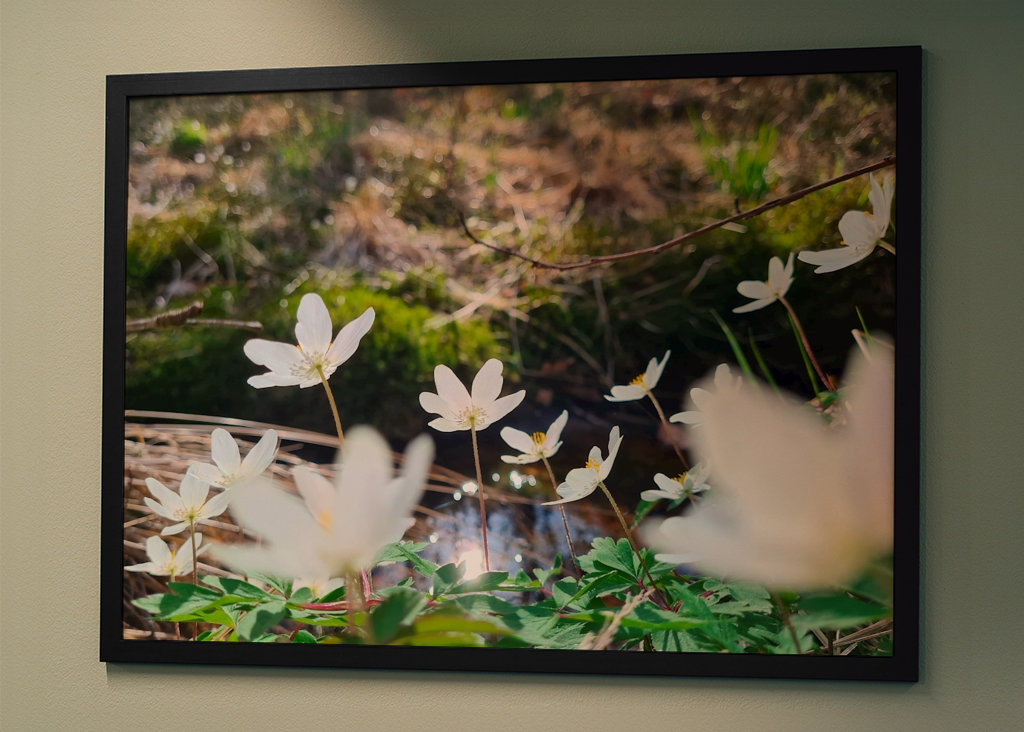 Łapanie wiosennego słońca