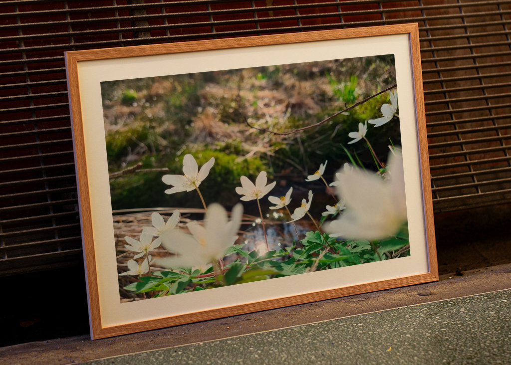 Łapanie wiosennego słońca