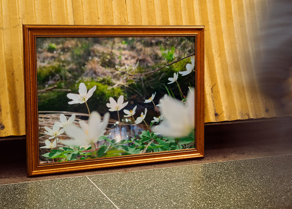 Łapanie wiosennego słońca