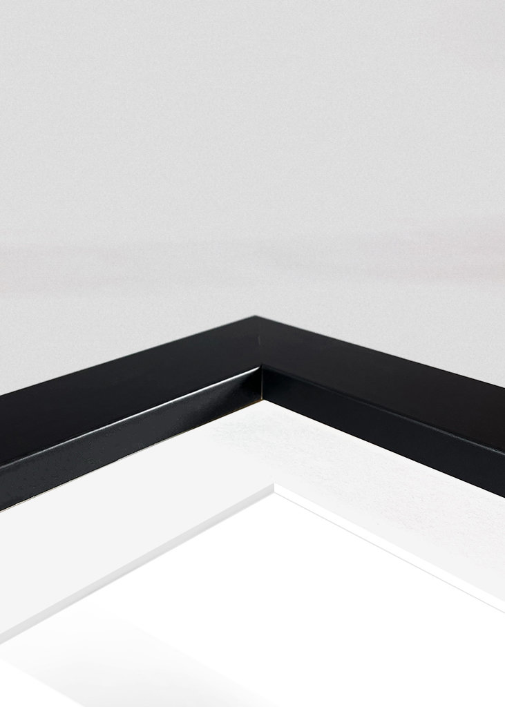 circles and shadows 2