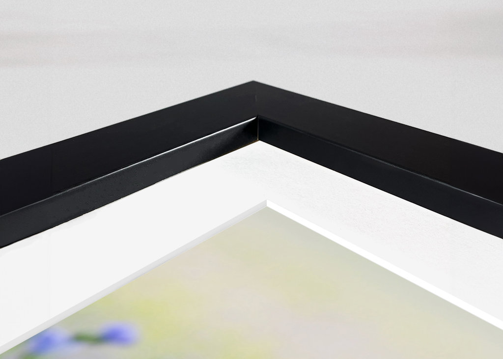 Vackert fält med Linblommor