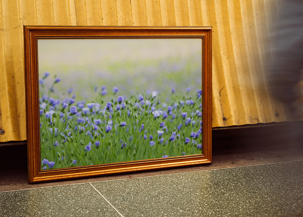 Vackert fält med Linblommor