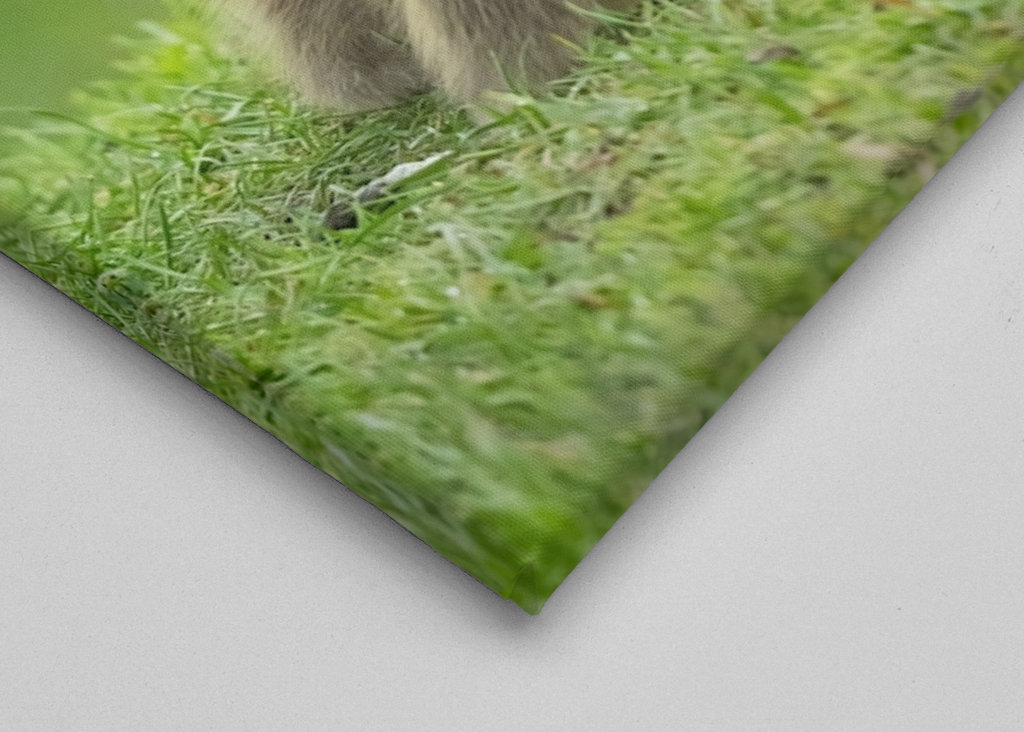 Morning meeting in nature