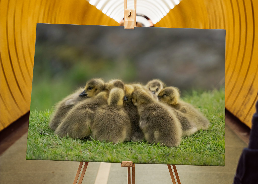 Morning meeting in nature