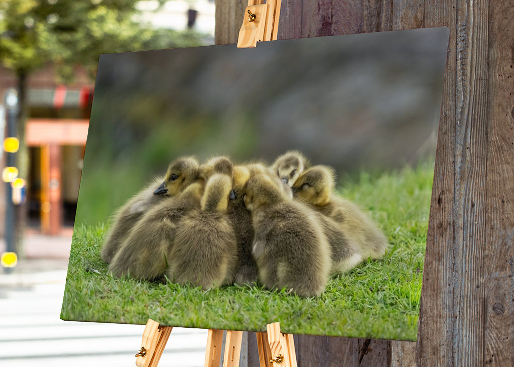 Morning meeting in nature