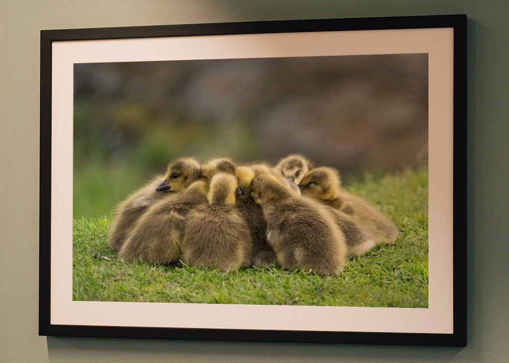 Morning meeting in nature