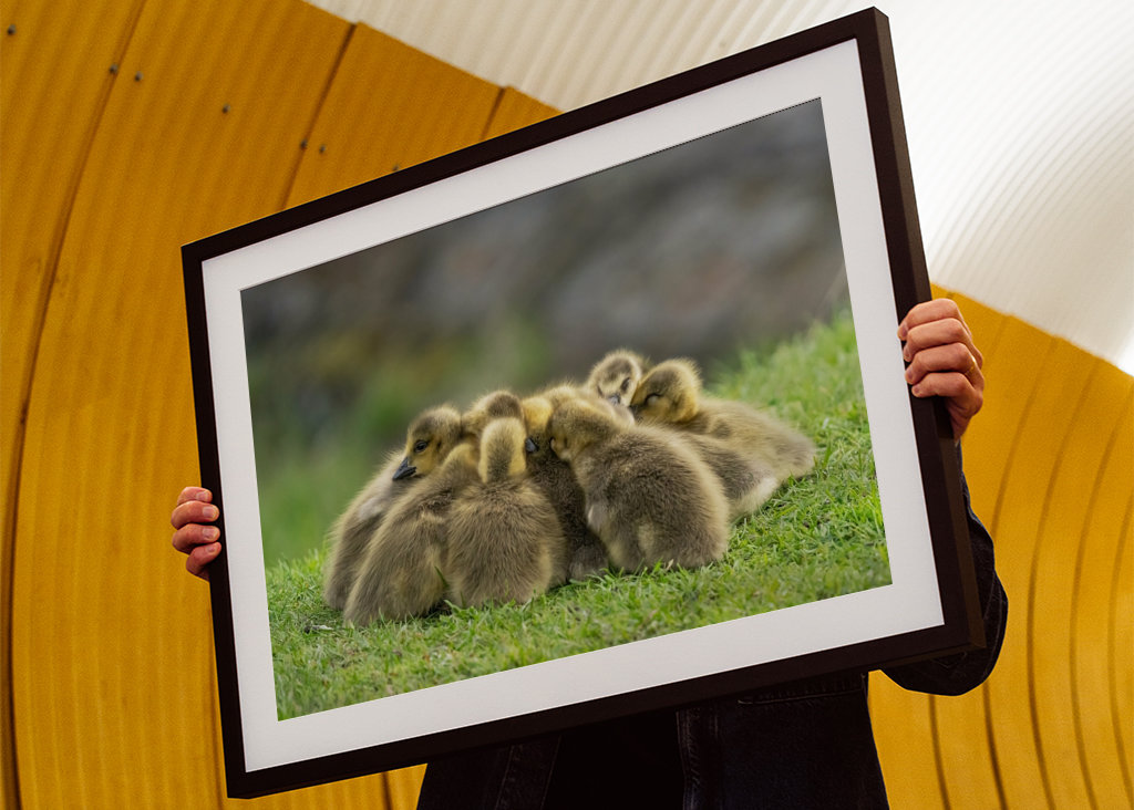 Morning meeting in nature