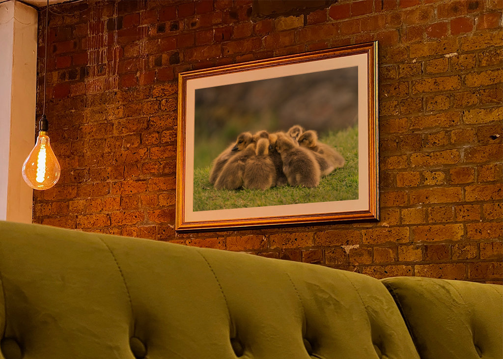 Morning meeting in nature