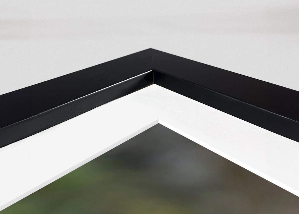 Morning meeting in nature