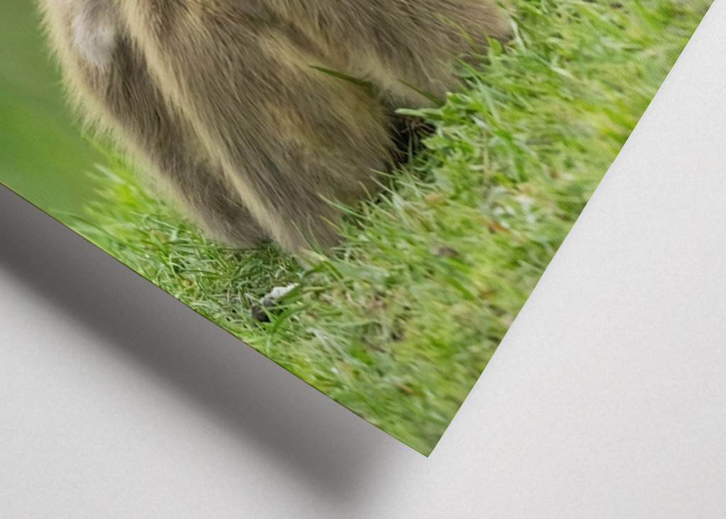 Morning meeting in nature