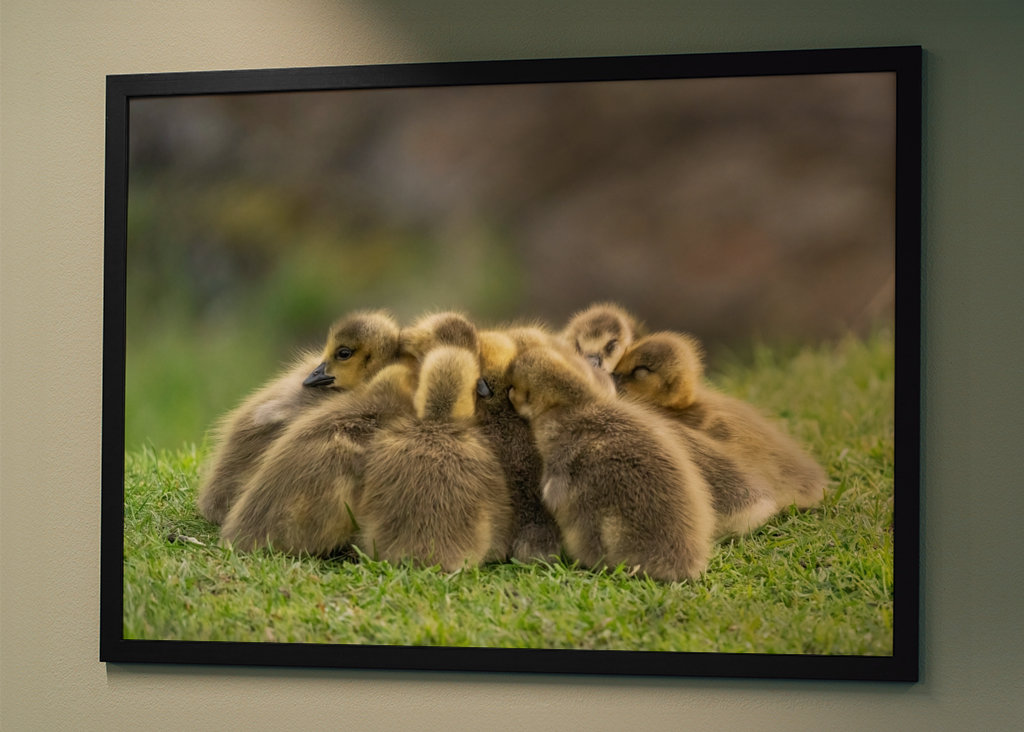 Morning meeting in nature