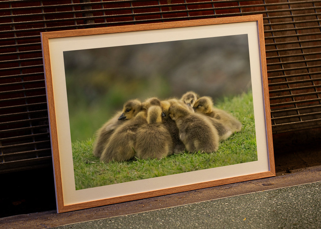 Morning meeting in nature