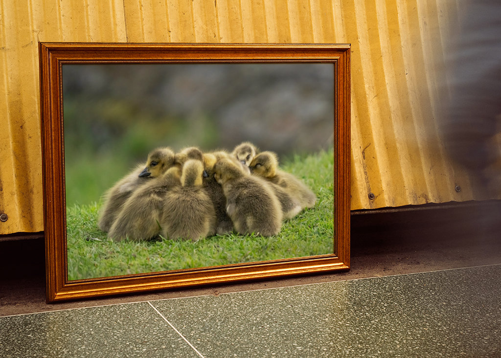 Morning meeting in nature