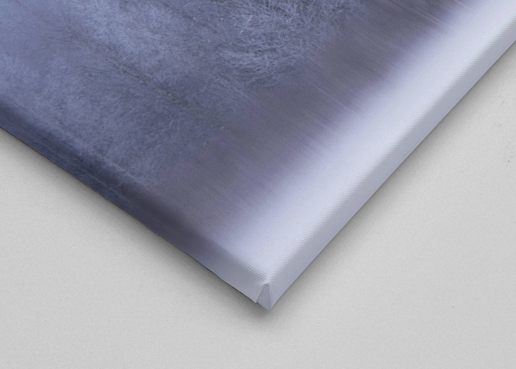 Chłodny zimowy dzień