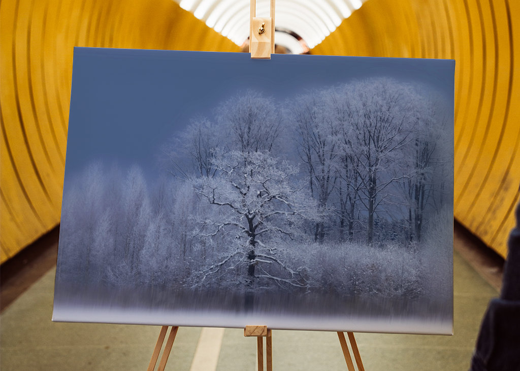 Chłodny zimowy dzień