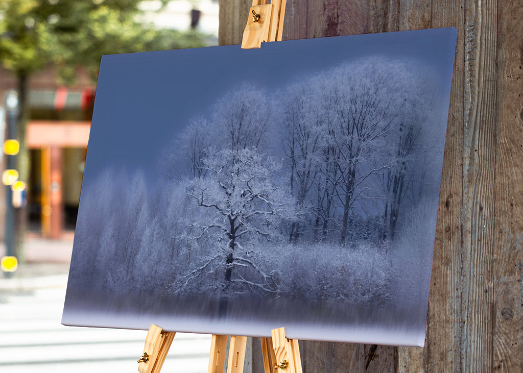 Chłodny zimowy dzień