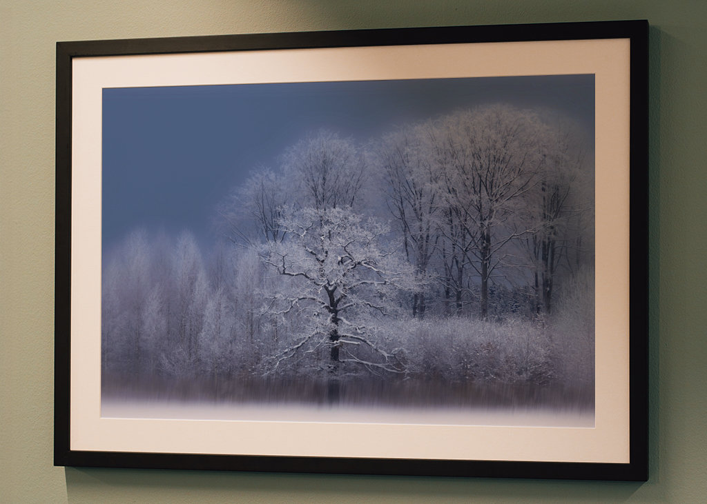 Chłodny zimowy dzień