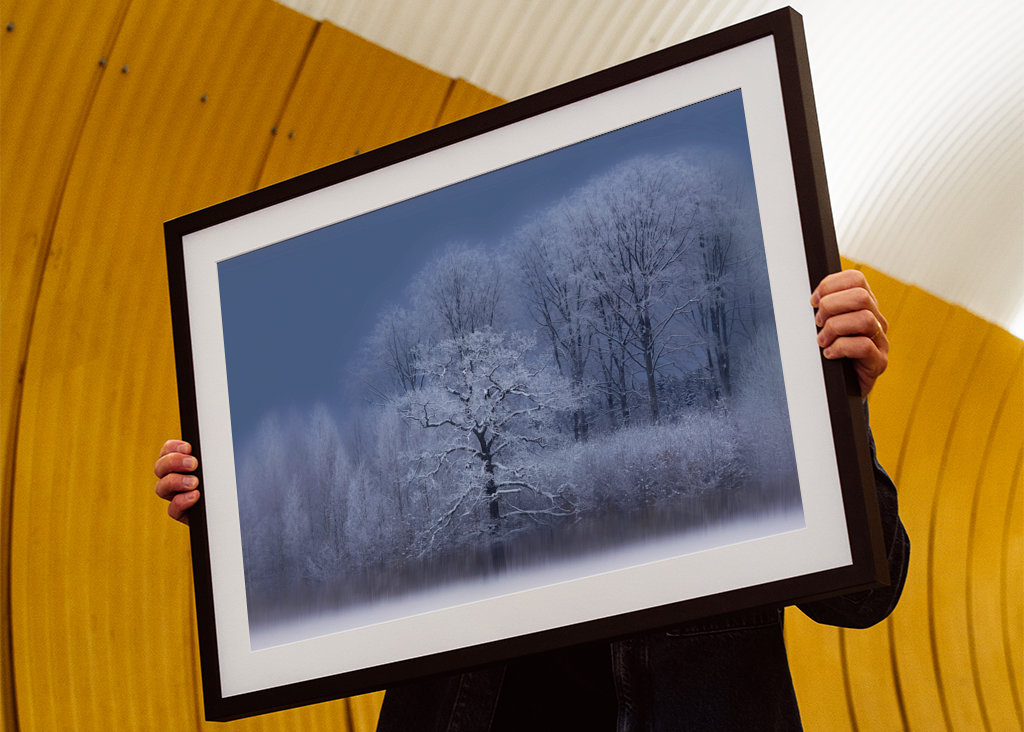 Chłodny zimowy dzień