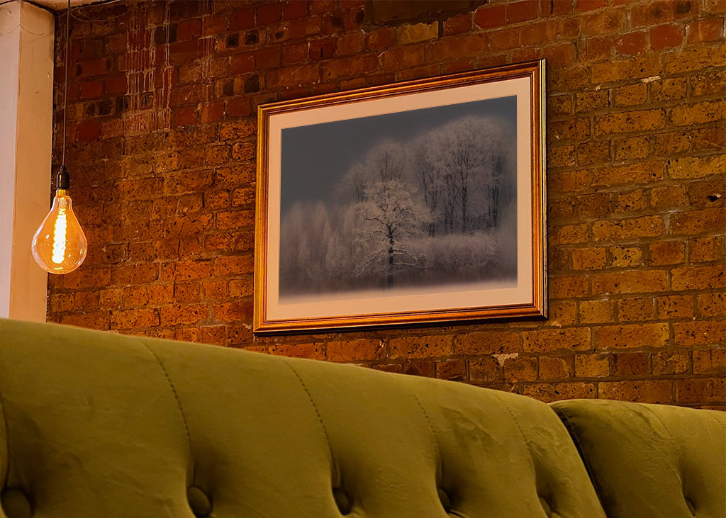 Chłodny zimowy dzień