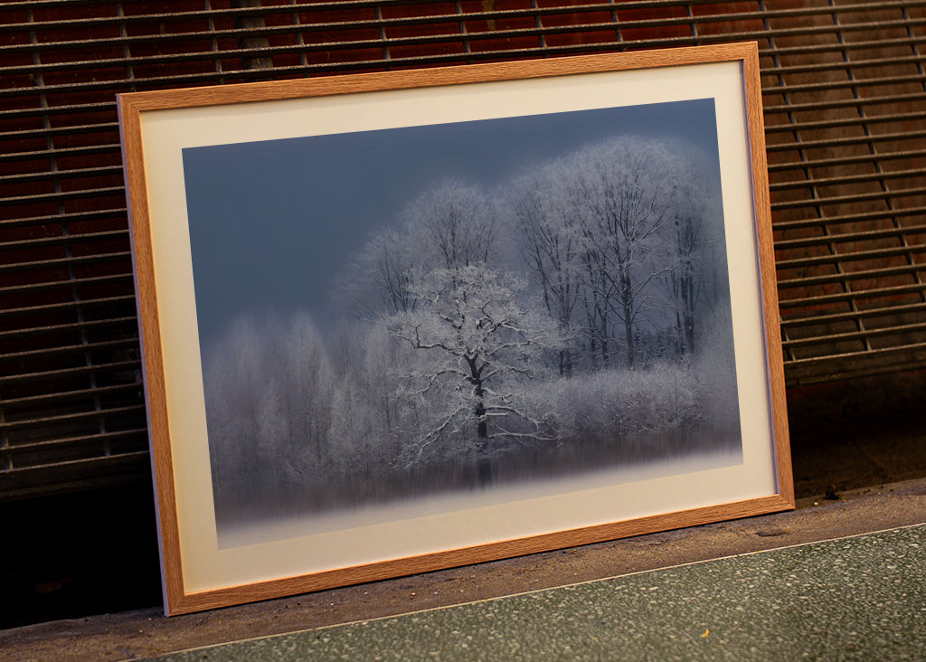 Chłodny zimowy dzień