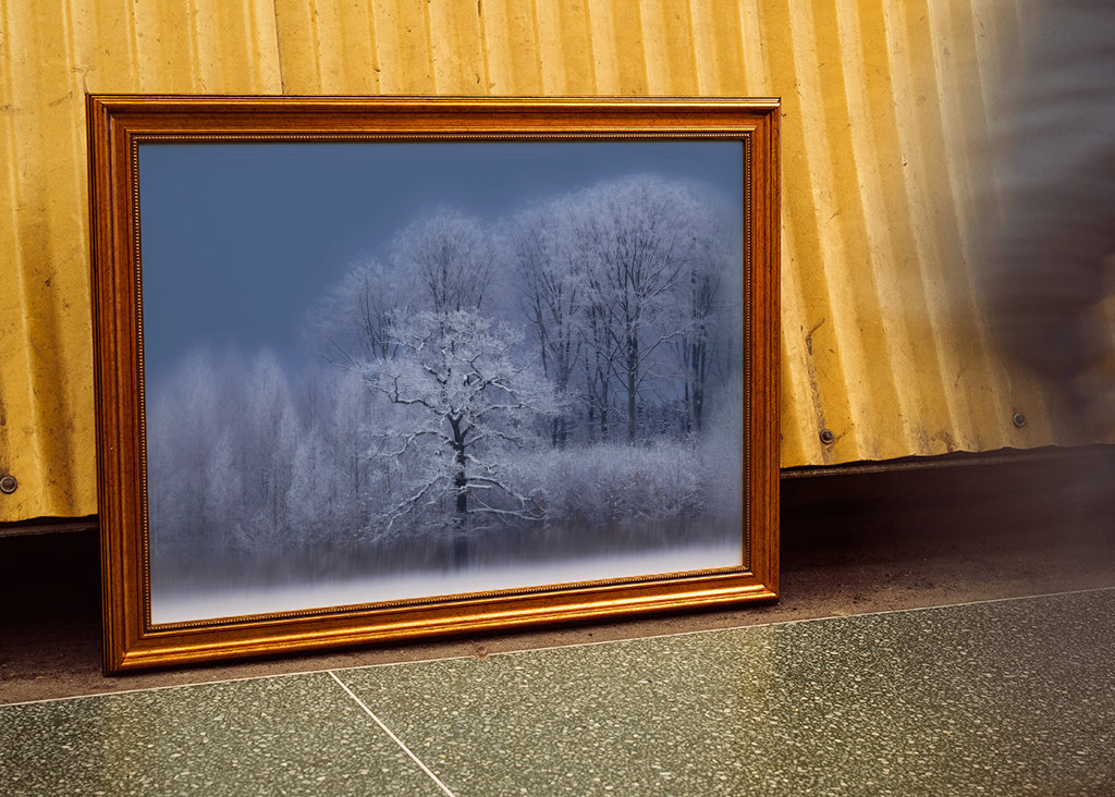 Chłodny zimowy dzień