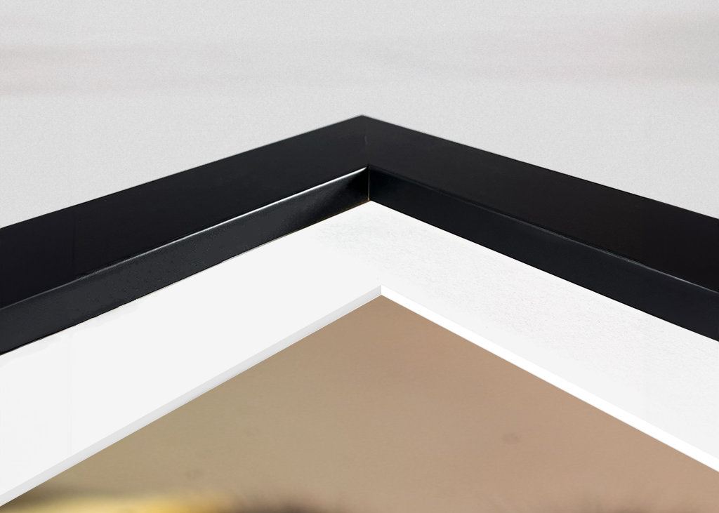 Bumblebee on dandelion