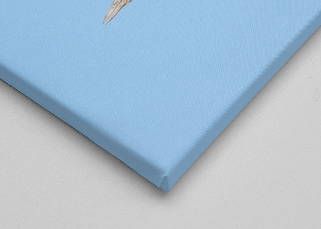 Felszállásra kész