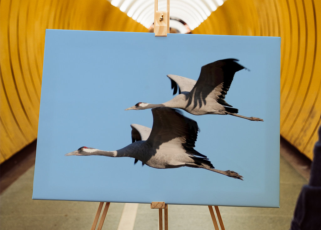 Felszállásra kész